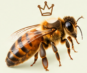 queenBees