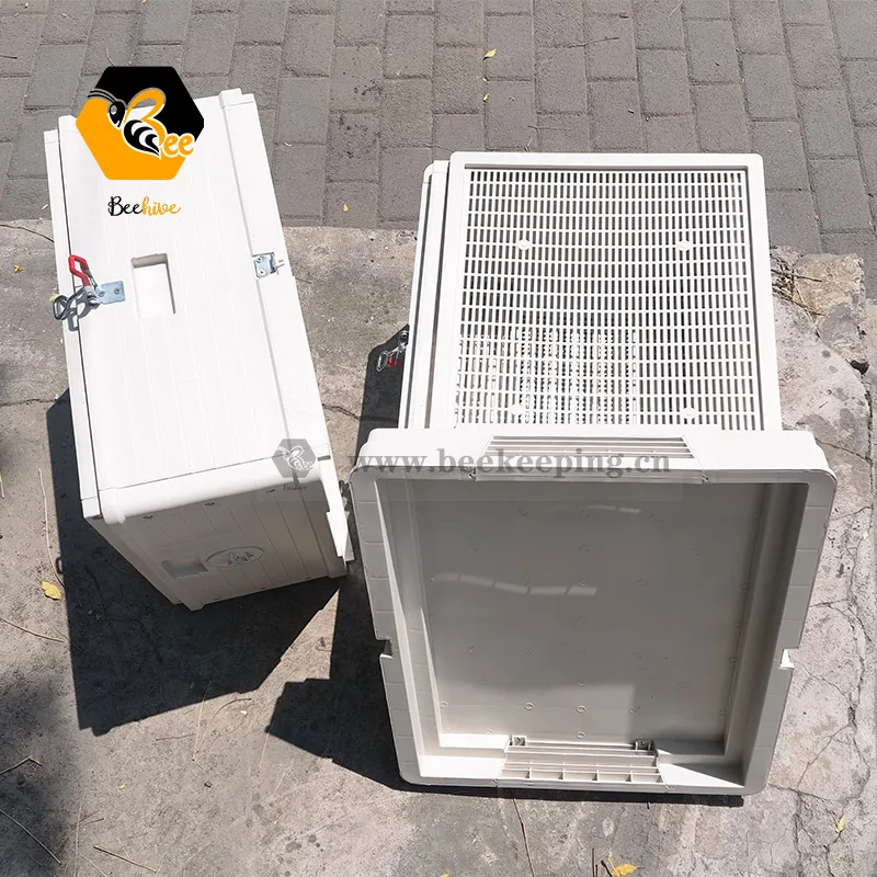 kf-S87d12dbce4eb45d09334747a82492b01L