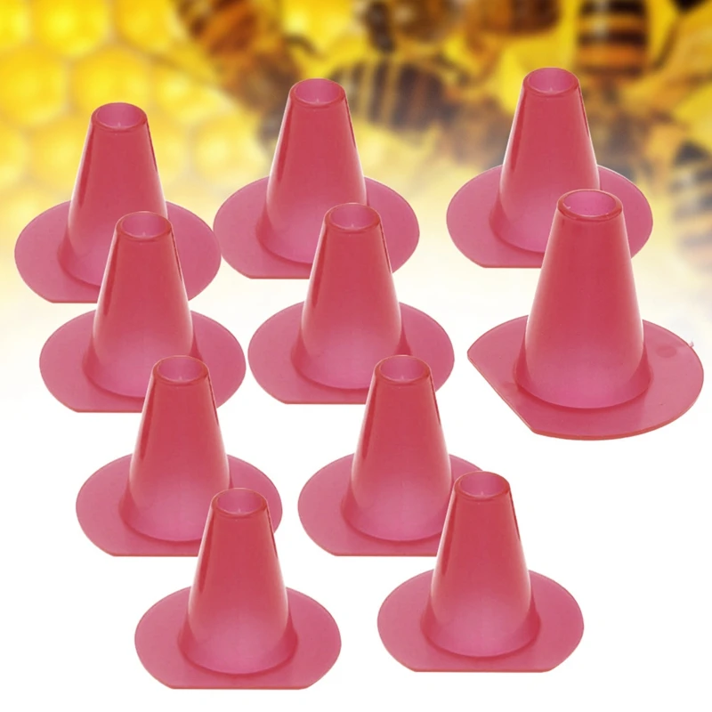 kf-S973d205e836846a3911309c984cb37f4L
